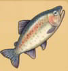 doraemon sos rainbow trout