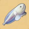 doraemon sos snailfish