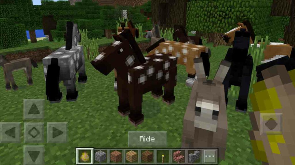 cara memelihara kuda atau keledai di minecraft pe