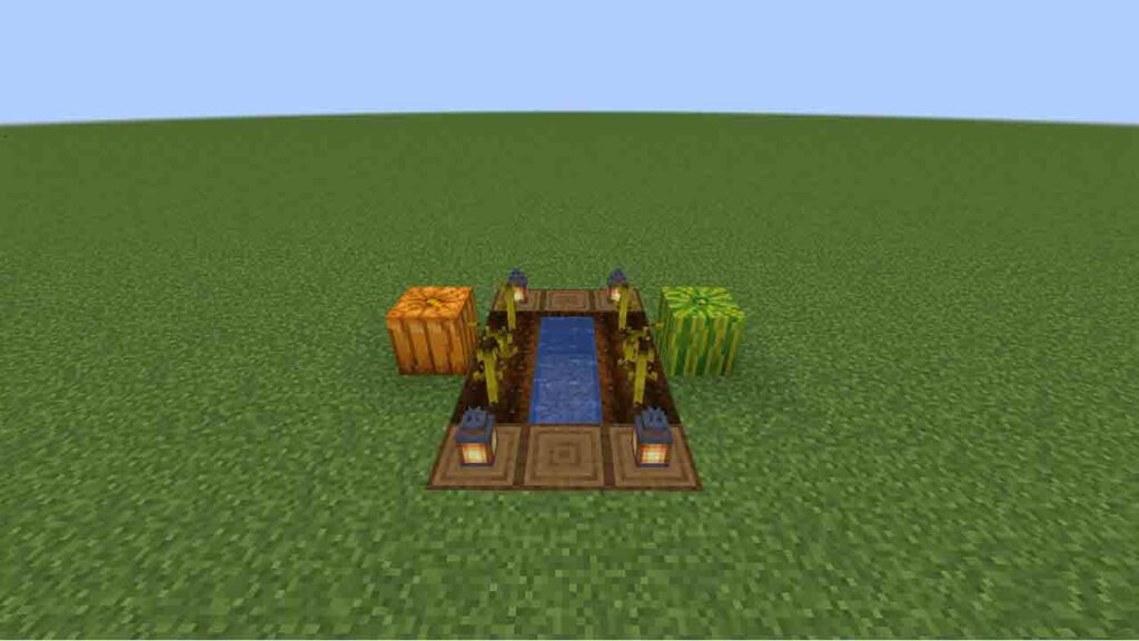 cara menumbuhkan tanaman pumpkin atau melon di minecraft