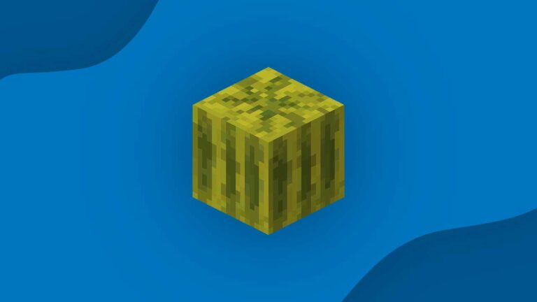 melon block di minecraft